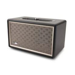 CALIBER Enceinte Bluetooth Rétro Avec Entrée AUX Et Batterie Intégrée - Ca...